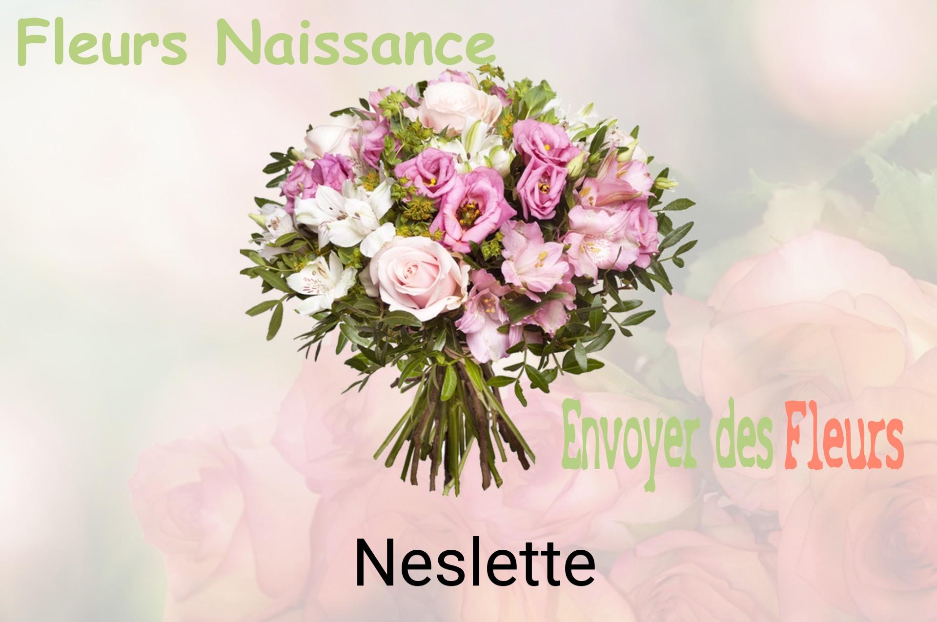 Bouquet de fleurs de naissance livré à Neslette